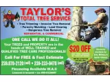 FREE ESTIMATES, STUMP REMOVAL, LAND CLEARING, TREE REMOVAL